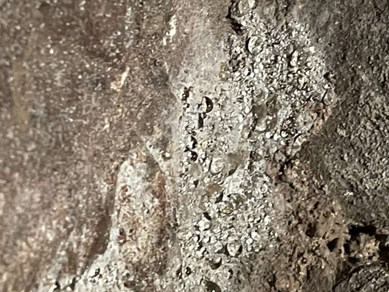 BAU.DE / BAU-Forum: 2. Bild zu Frage "Probleme bei Gew&ouml;lbekellertrocknung" im BAU-Forum "Modernisierung / Sanierung / Bausch&auml;den"