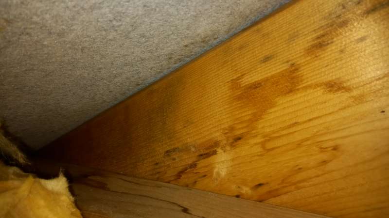 BAU.DE / BAU-Forum: 2. Bild zu Frage "Wasser an der USP. Trotz d&auml;mmund und Dampfbremse" im BAU-Forum "Modernisierung / Sanierung / Bausch&auml;den"