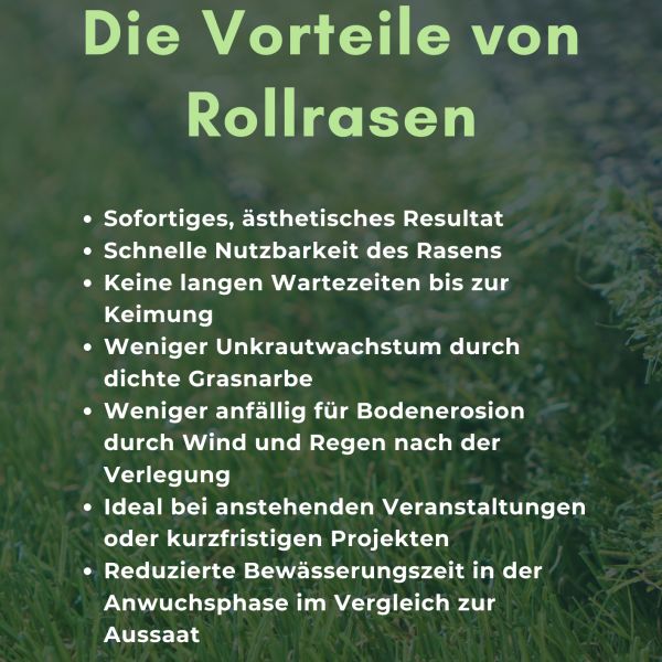 Die Vorteile von Rollrasen
