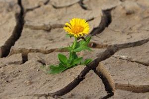 Die Trocknung ist ein Prozess, bei dem die Feuchtigkeit oder Flüssigkeit aus einem Material entfernt wird, um es zu entfeuchten oder zu konservieren. Die Trocknung ist ein Prozess, bei dem die Feuchtigkeit oder Flüssigkeit aus einem Material entfernt wird, um es zu entfeuchten oder zu konservieren.