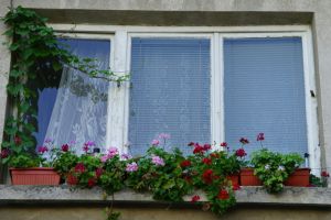 Der Fensteraustausch bezieht sich auf den Vorgang, bei dem alte oder besch&auml;digte Fenster durch neue, energieeffizientere und modernere Modelle ersetzt werden.
