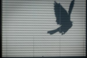 Materialkunde f&uuml;r Profis: Hochwertige Stoffe und Technologien im Plissee-Markt - Bild: Foto von Mavi Atlas auf Unsplash