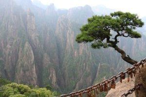 Ein Naturmaterial ist ein Material, das in der Natur vorkommt und nicht synthetisch hergestellt ist.