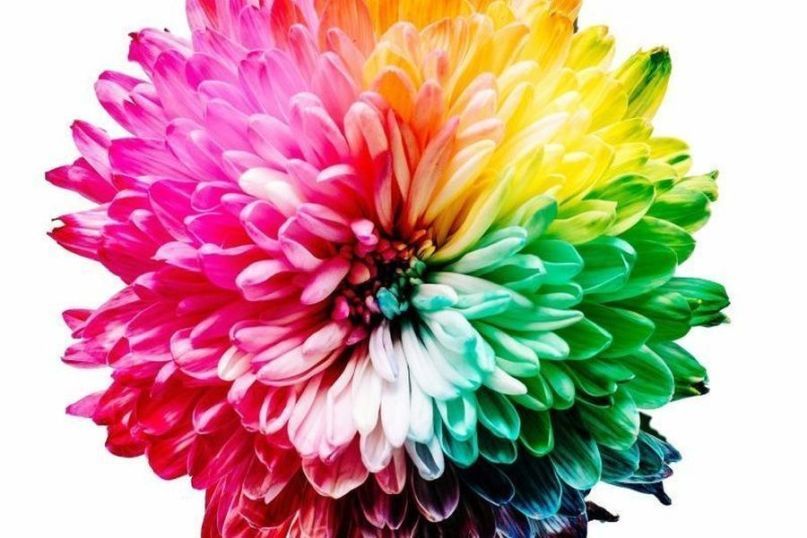 Schwarz ist eine dunkle, nicht reflektierende Farbe, die das Fehlen oder die Absorption aller Lichtstrahlen im sichtbaren Spektrum bedeutet.