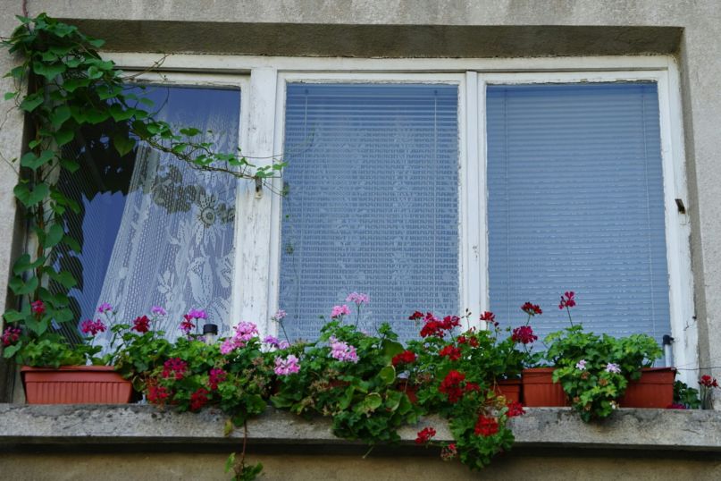 Der Fensteraustausch bezieht sich auf den Vorgang, bei dem alte oder besch&auml;digte Fenster durch neue, energieeffizientere und modernere Modelle ersetzt werden.