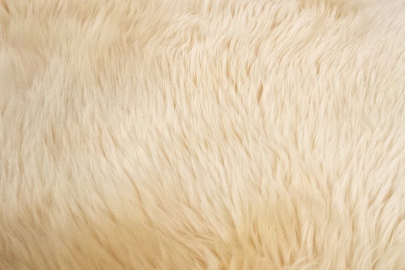 Ein beiger Teppich als perfekte Basis f&uuml;r den skandinavischen Einrichtungsstil