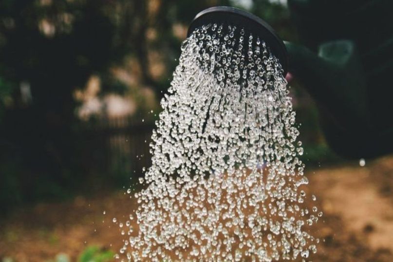Die Wasserqualit&auml;t bezieht sich auf den Zustand von Wasser in Bezug auf seine physikalischen, chemischen, biologischen und mikrobiologischen Eigenschaften.
