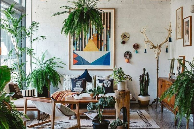 Die richtigen Zimmerpflanzen f&uuml;r mein Zimmer - bei der Auswahl von Zimmerpflanzen f&uuml;r Ihr Zimmer sollten Sie Faktoren wie Lichtverh&auml;ltnisse, Raumgr&ouml;&szlig;e und Ihre eigenen Pflegevorlieben ber&uuml;cksichtigen